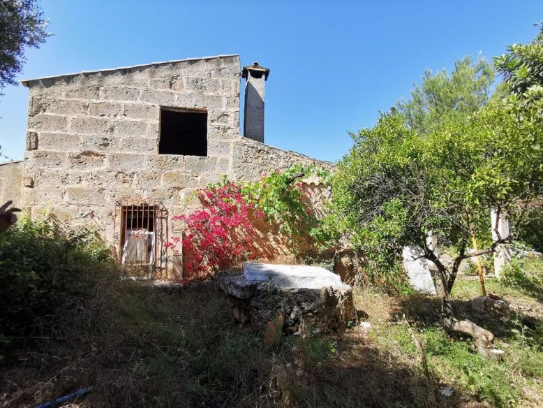 Property Sales in Inca Mallorca and rural villages