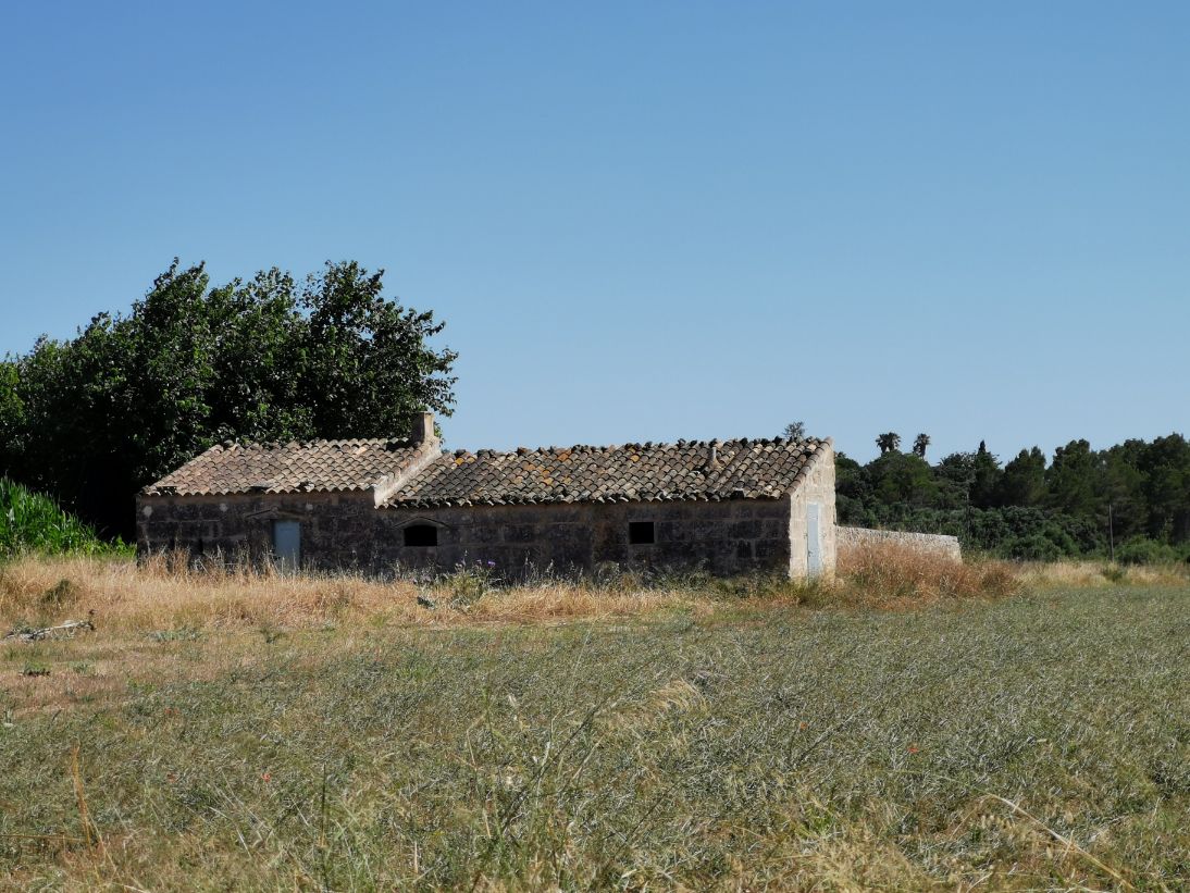 House or land for sale in Inca Mallorca and rural villages